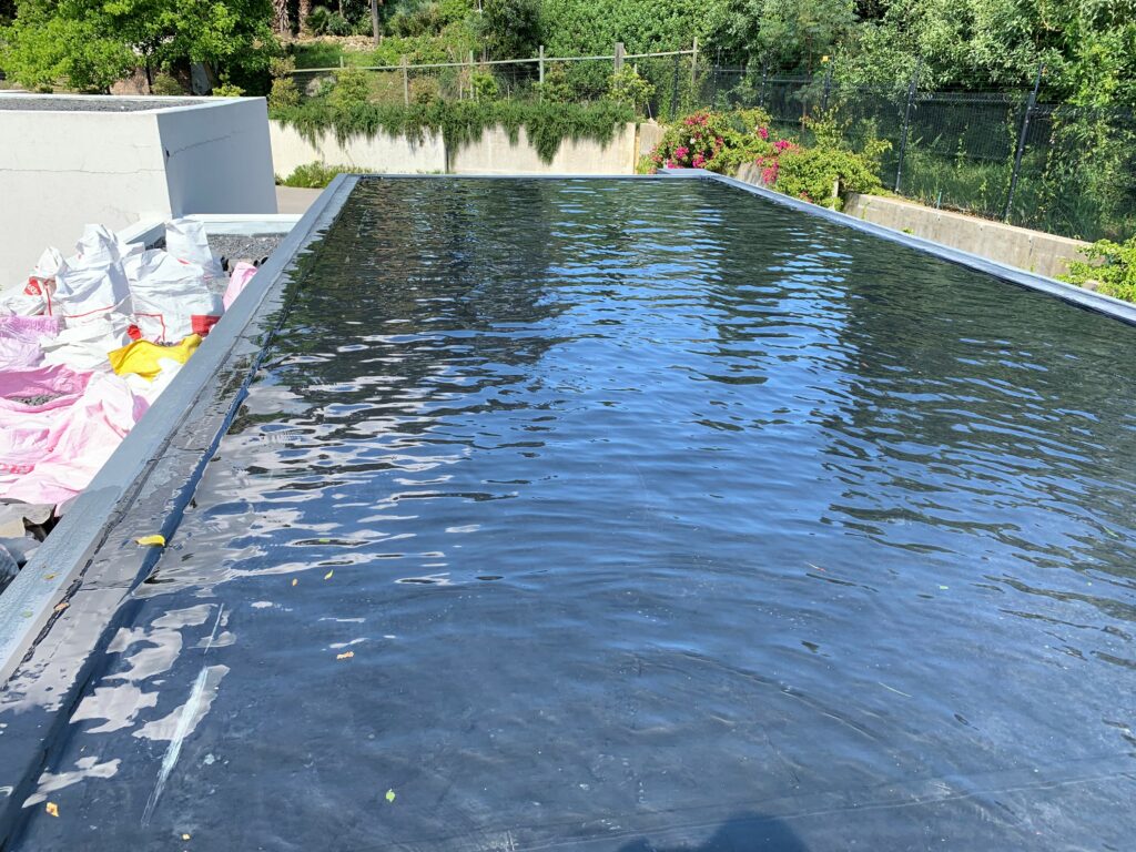 Waterprooflab Flat Roof Leaks